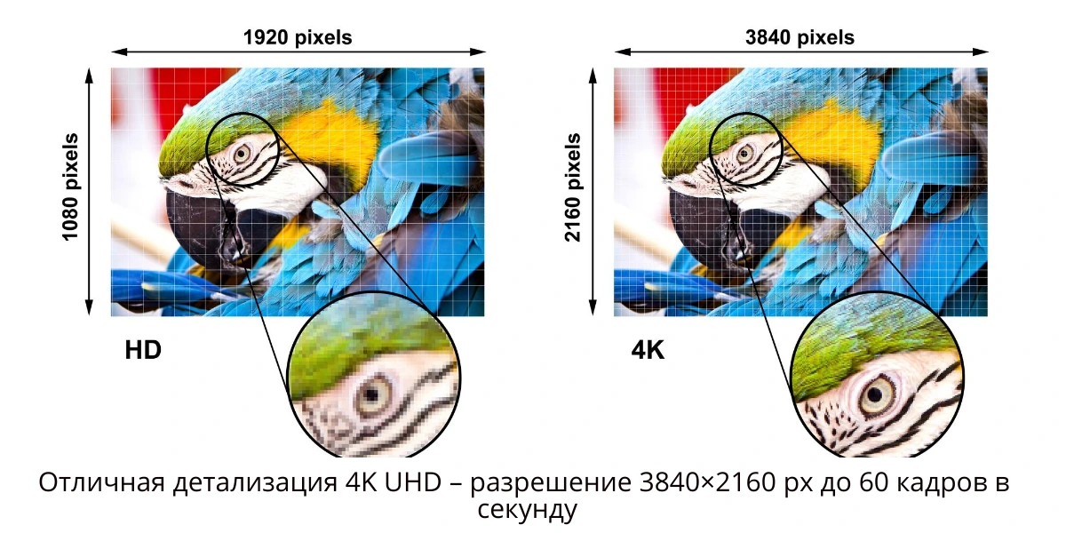 Inext TV-X поддерживает Ultra HD